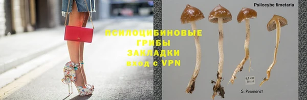 мяу мяу мука Абинск
