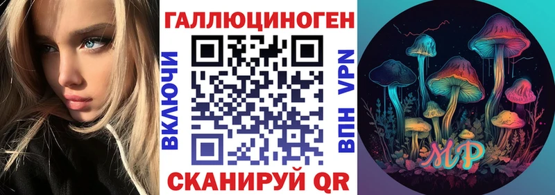 наркота Шимановск Псилоцибиновые грибы мухоморы
